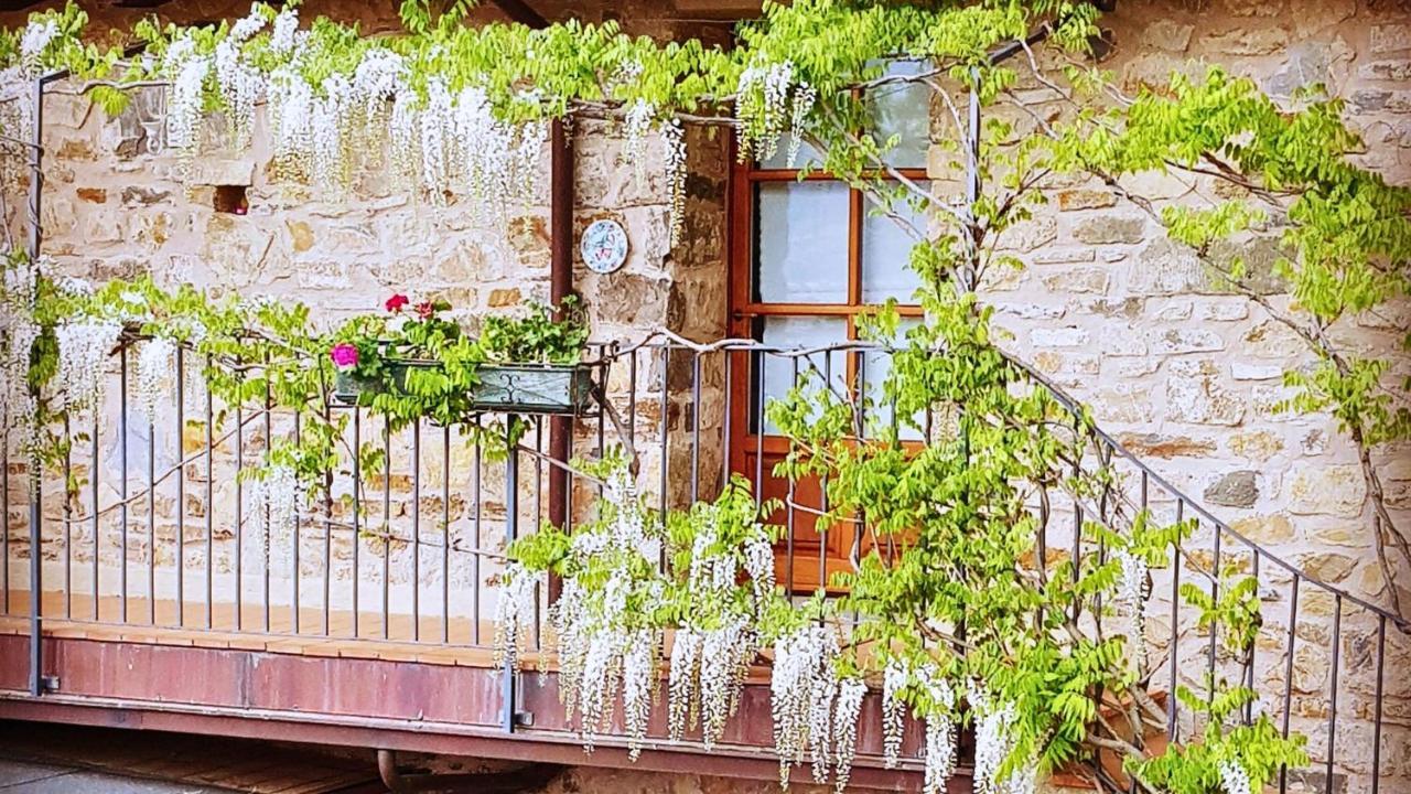 Agriturismo Podere Conti Filattiera Exterior foto